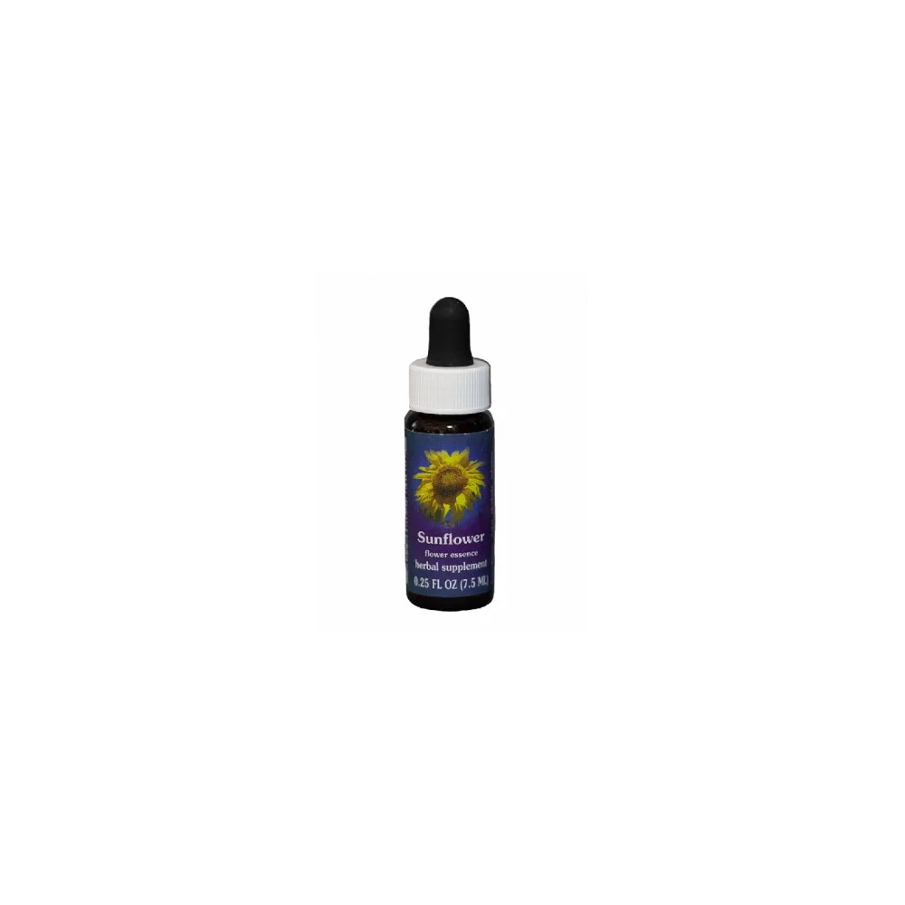 Sonnenblume (Helianthus annuus) 7,4ml