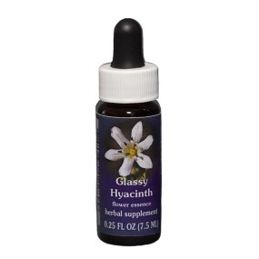 Glassy Hyacinth (Triteleia lilacina) 7,4 ml