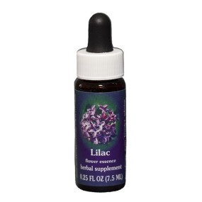 Lila (Syringa vulgaris) 7.4ml