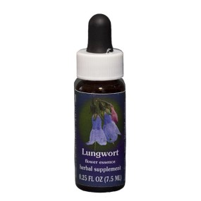 Lungwort (Mertensia ciliata) 7.4 ml