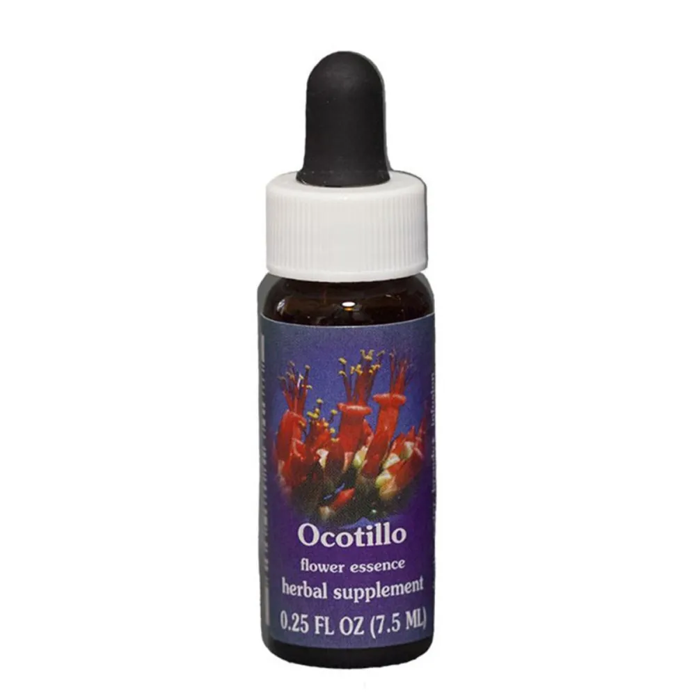 Ocotillo (Fouquieria splendens) 7,4 ml