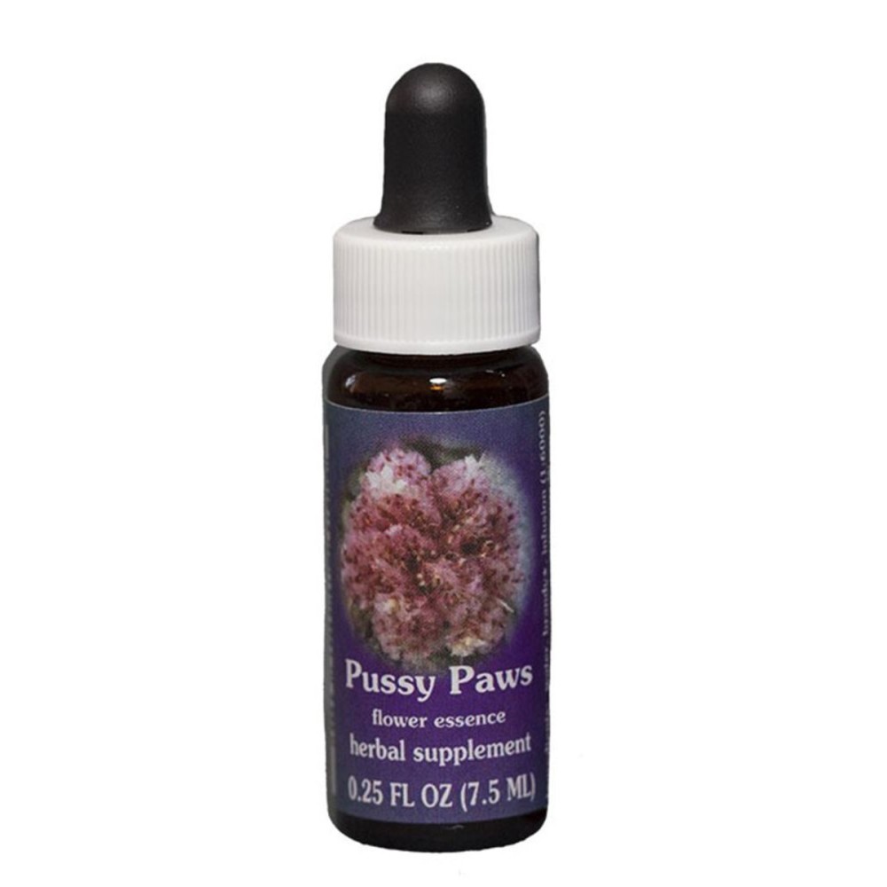 Pattes de Chatte (Calyptridium umbellatum) 7.4ml