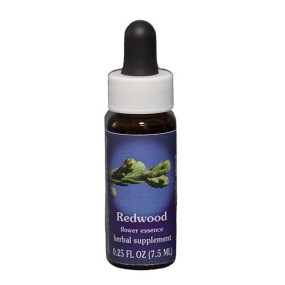 Esencia única de California FES - Sequoia sempervirens (7,4 ml)