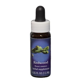 Redwood (Sequoia sempervirens) 7,4 ml