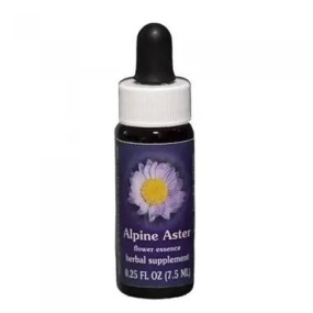 Aster Alpino (Aster alpigenus) 7.4ml