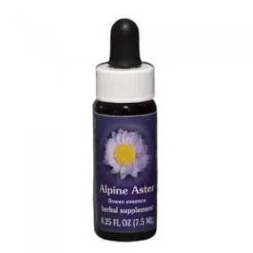 Aster des Alpes (Aster alpigenus) 7.4ml