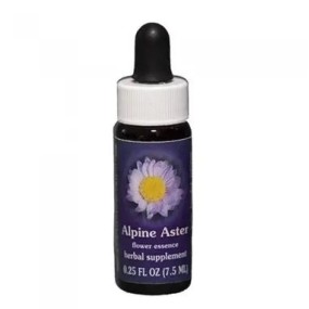 Alpine Aster (Aster alpigenus) 7,4 ml