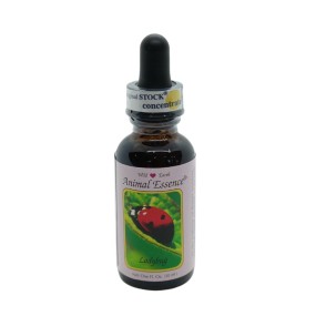Esencia única Tierra Salvaje - Mariquita 30 ml