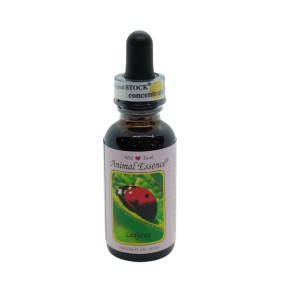 Ladybug (Coccinella) 30 ml