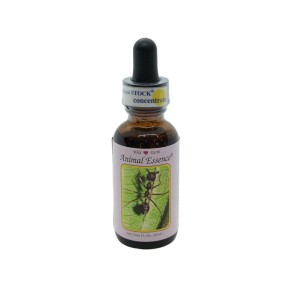 Esencia única Wild Earth - Hormiga (30 ml)