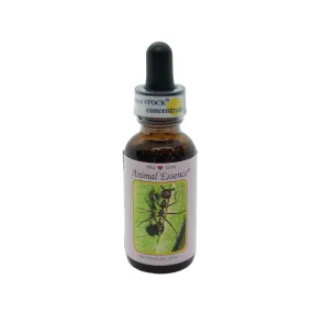 Ant (Ant) 30 ml