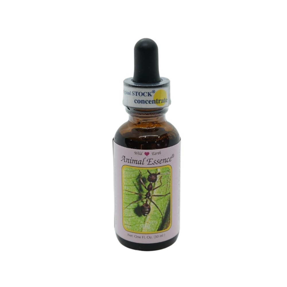 Ant (Formica) 30 ml