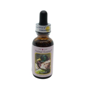 Mallard (Germano reale) 30 ml