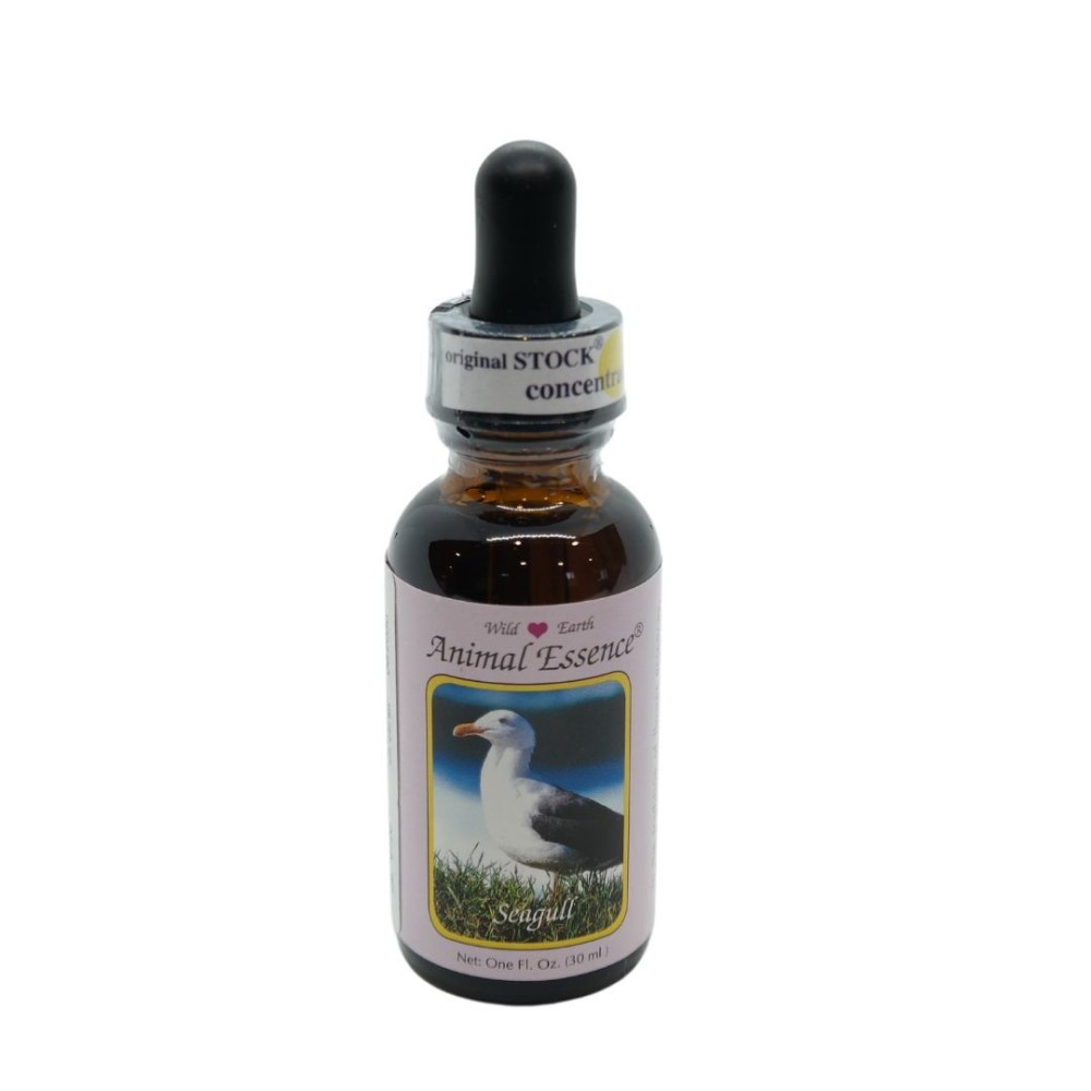 Gaviota (Gaviota) 30 ml