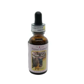 Ñu (ñu) 30 ml