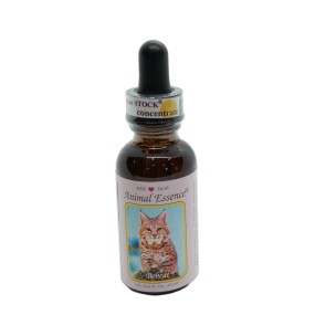 Esencia única Wild Earth - Lince rojo (30 ml)