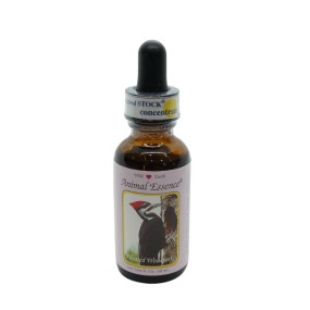 Esencia única Tierra Salvaje - Pájaro Carpintero Pilated 30 ml
