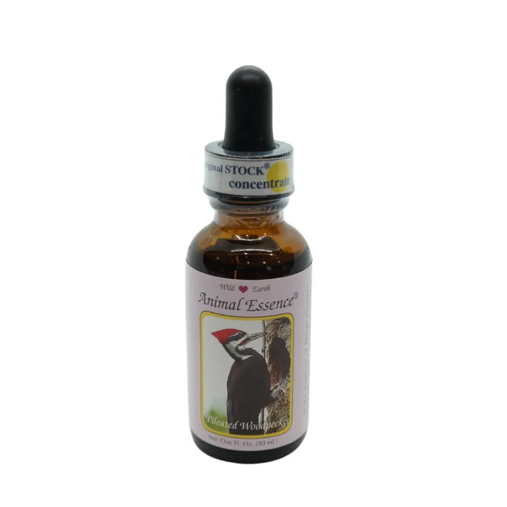 Pilated Woodpecker 30 ml