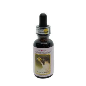 Peregrine Falcon (Falco pellegrino) 30 ml