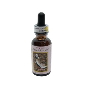 Essence unique Wild Earth - Moineau 30 ml