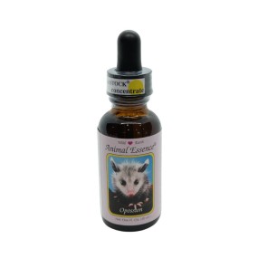 Esencia única Wild Earth - Zarigüeya 30 ml