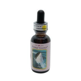 Essence unique Wild Earth - Orca 30 ml
