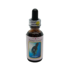 Esencia única Wild Earth - Pulpo (30 ml)