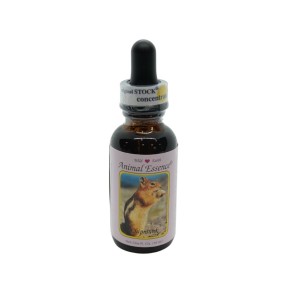 Esencia única Wild Earth - Ardilla americana (30 ml)
