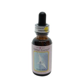 Esencia única Wild Earth - Charrán ártico (Sterna arctica) 30 ml