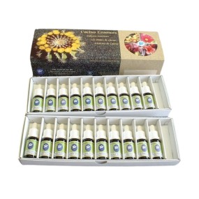 Kit de Terapia Floral - 20 Esencias de Cactus