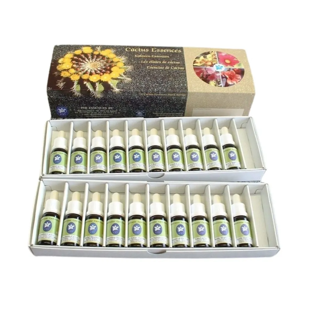 20 essences de cactus