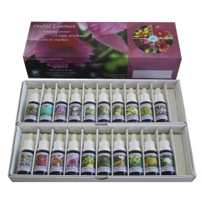 20 essences d'orchidées d'Amazonie