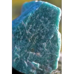 Alaska Single Essence -...