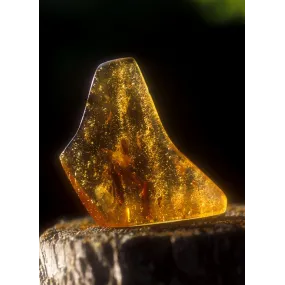 Essence Unique d'Alaska -...