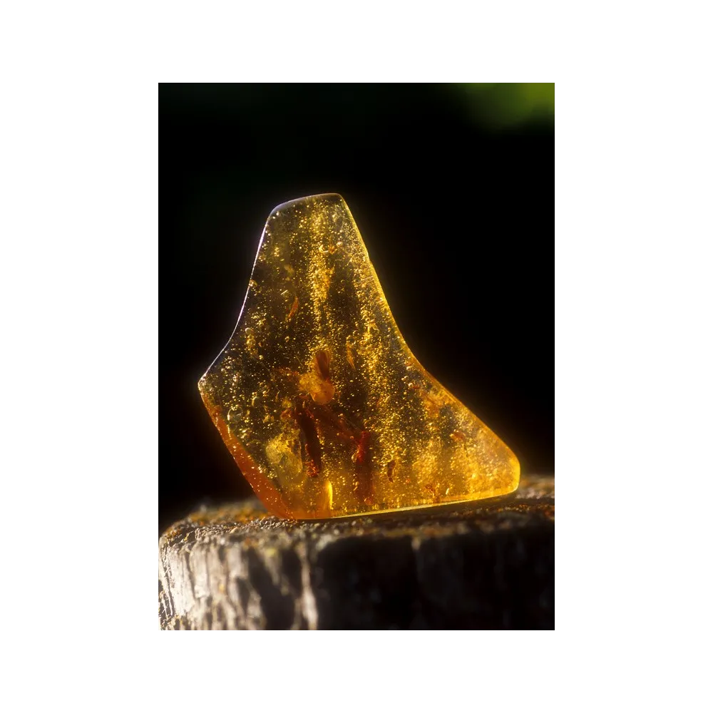 Alaska Single Essence - Ambre 7,4 ml