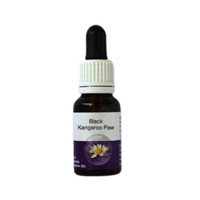 Patte de Kangourou Noir (Macropidea fuliginosa) 15ml