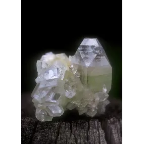 Alaska Single Essence -...