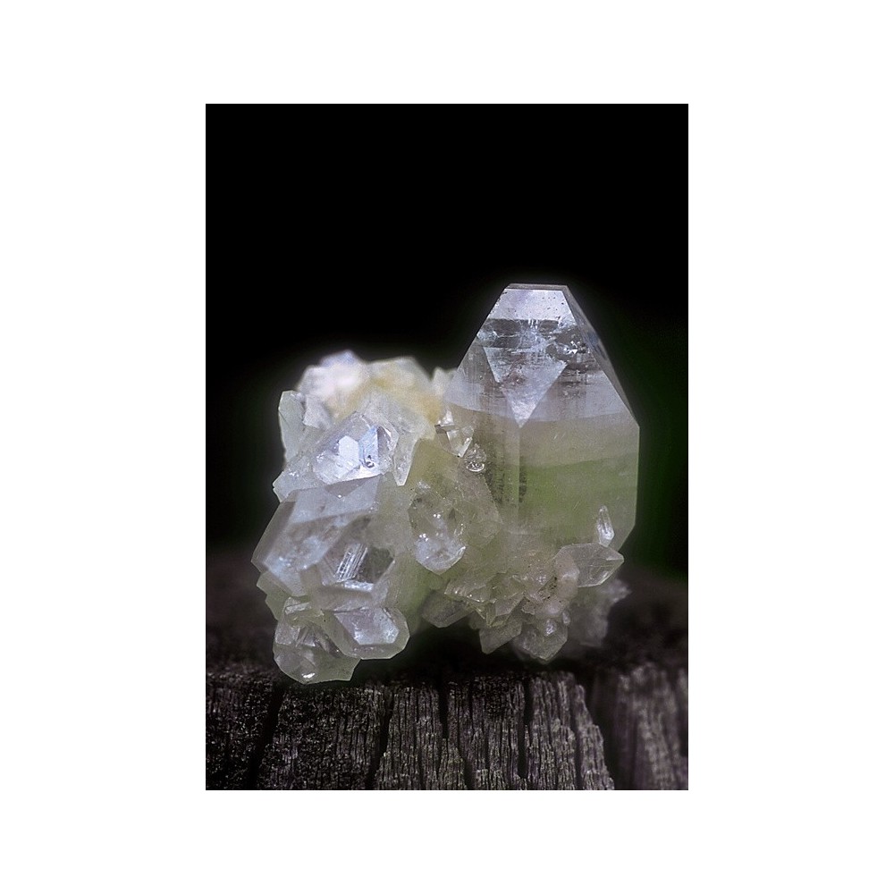 Alaska Single Essence - Apophyllite (Apophyllite) 7.4 ml