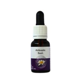 Esencia única de Australian Living - Arbusto antiséptico (Calocephalus ass. multiflorus) 15 ml