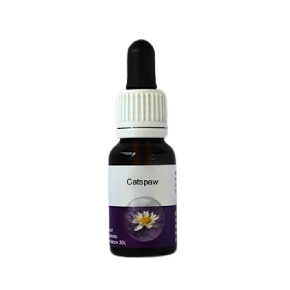 Catspaw (Anigozanthos humilis) 15ml