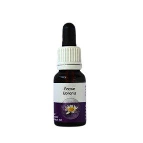 Boronia Marrón (Boronia megastigma) 15ml