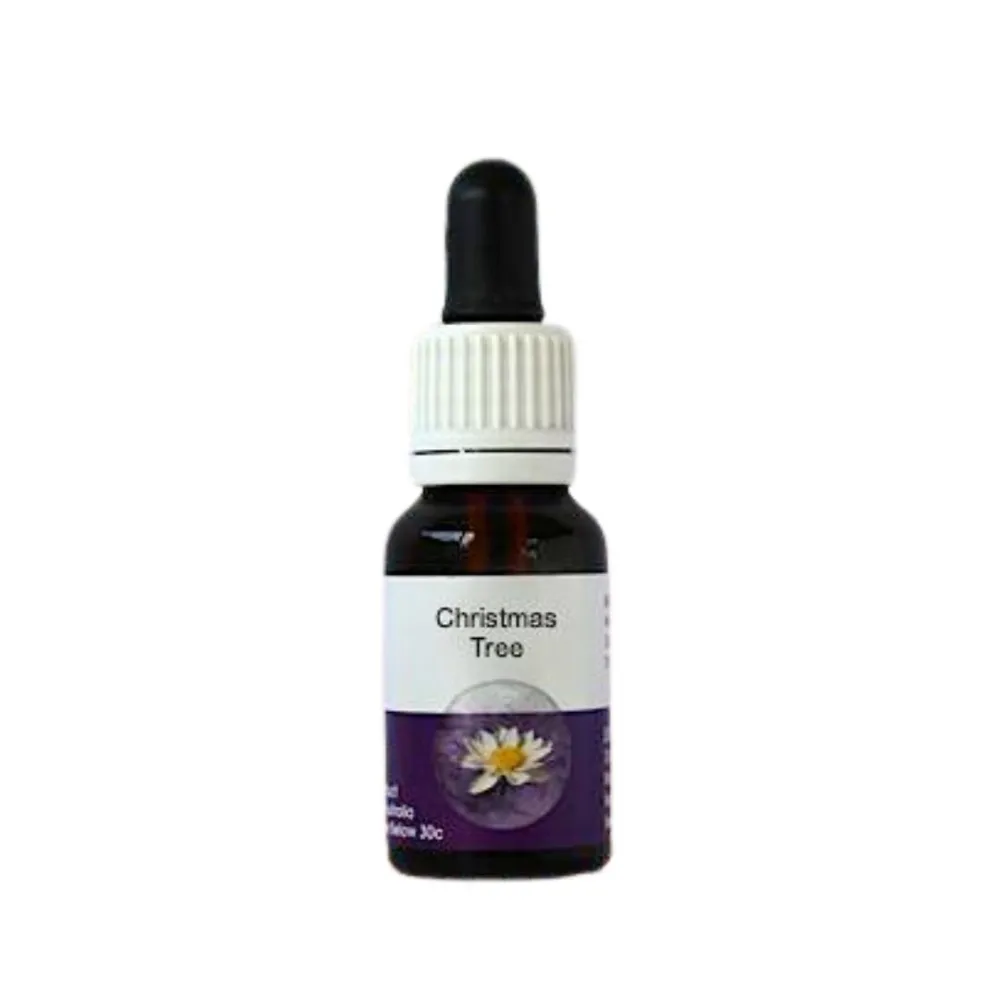 Christmas Tree (Nutsia floribunda) 15ml