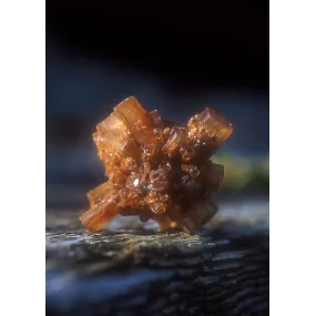 Alaska Single Essence -...