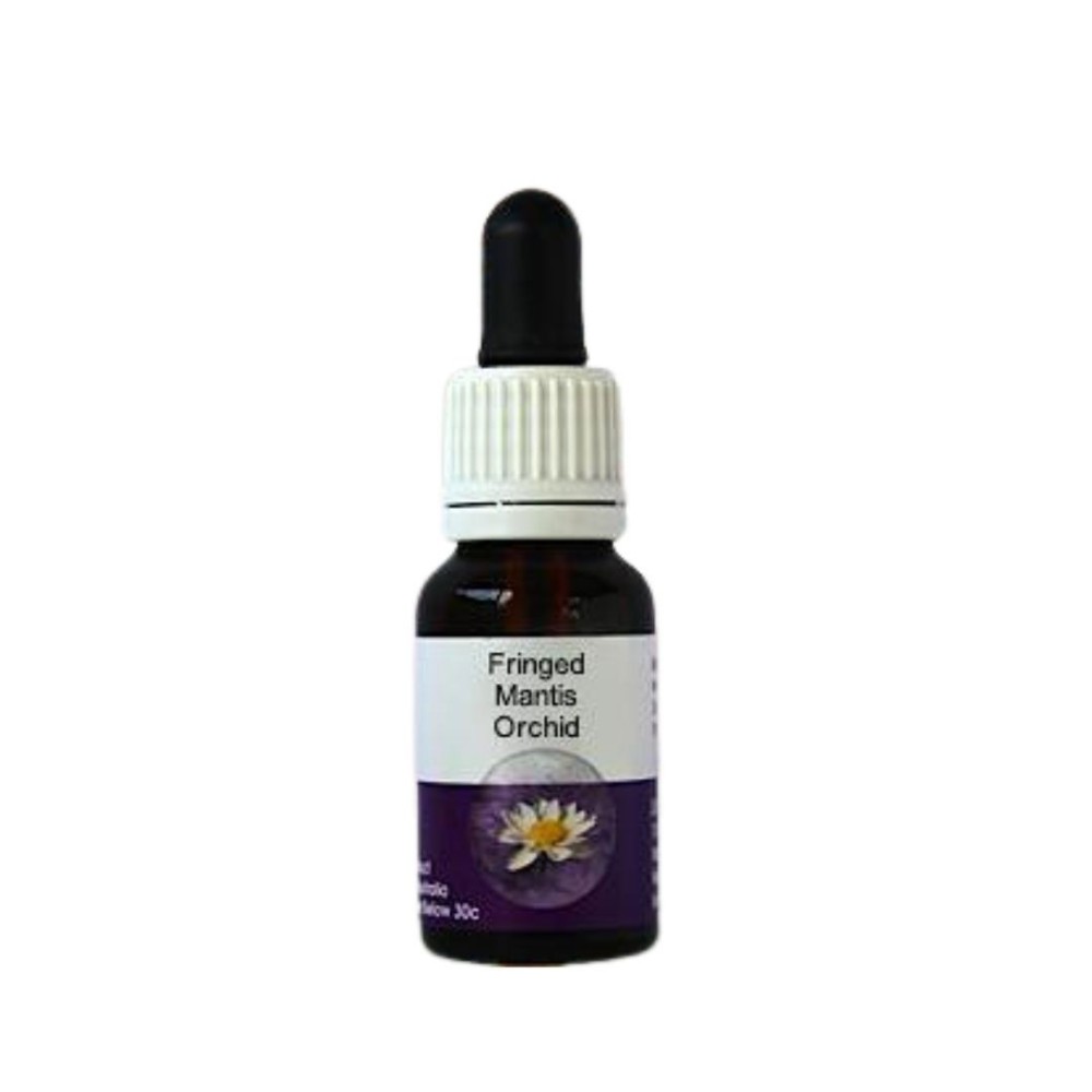 Orchidée-mante frangée (Caladenia falcata) 15ml