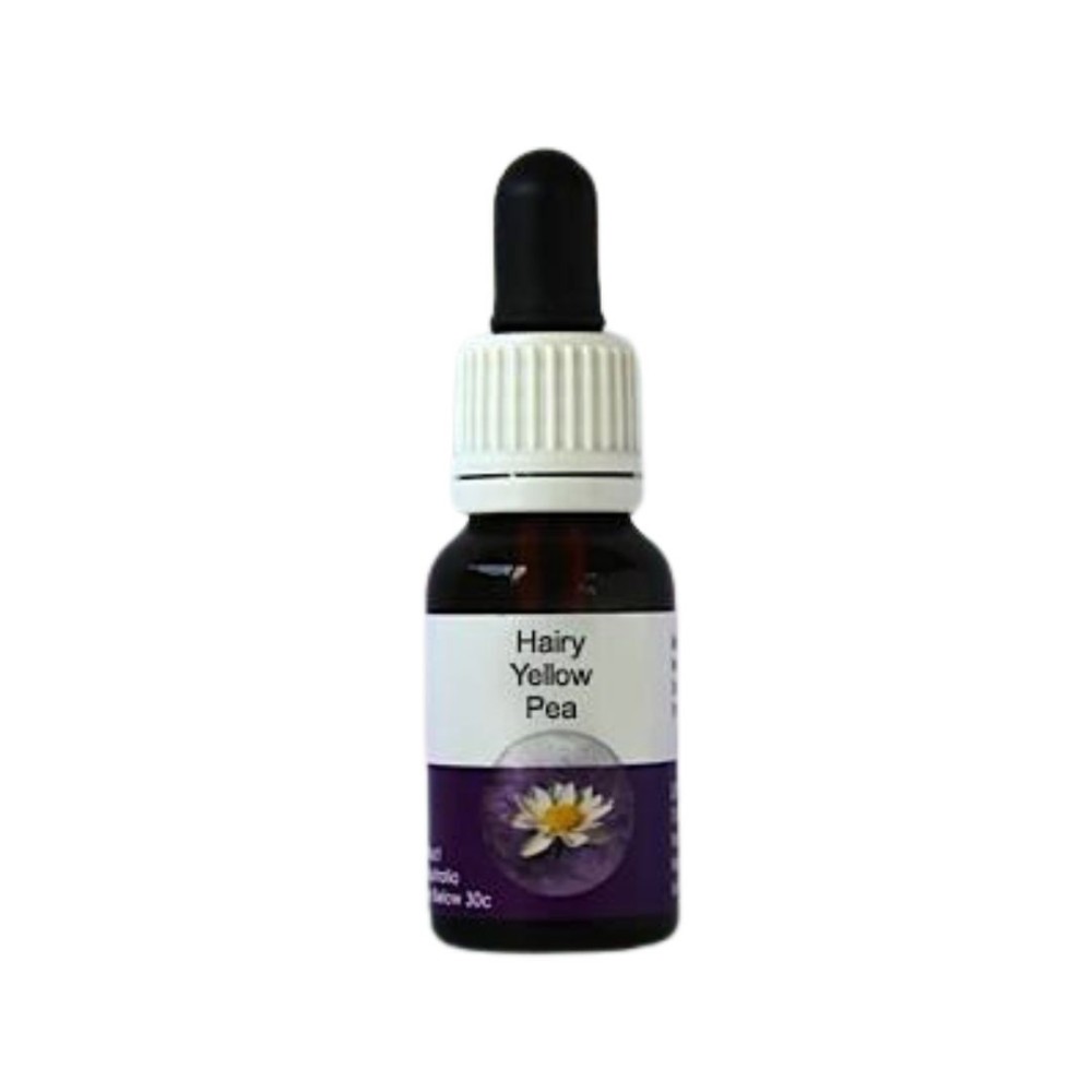 Hairy Yellow Pea (Gompholobim tormentosa) 15ml