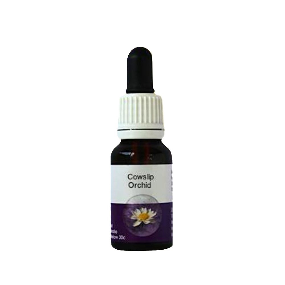 Cowslip Orchid (Caladenia flavia) 15 ml