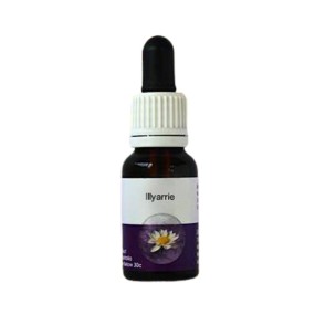 Esencia única de Australian Living - Illyarrie (Eucalyptus erythrocorys) 15 ml