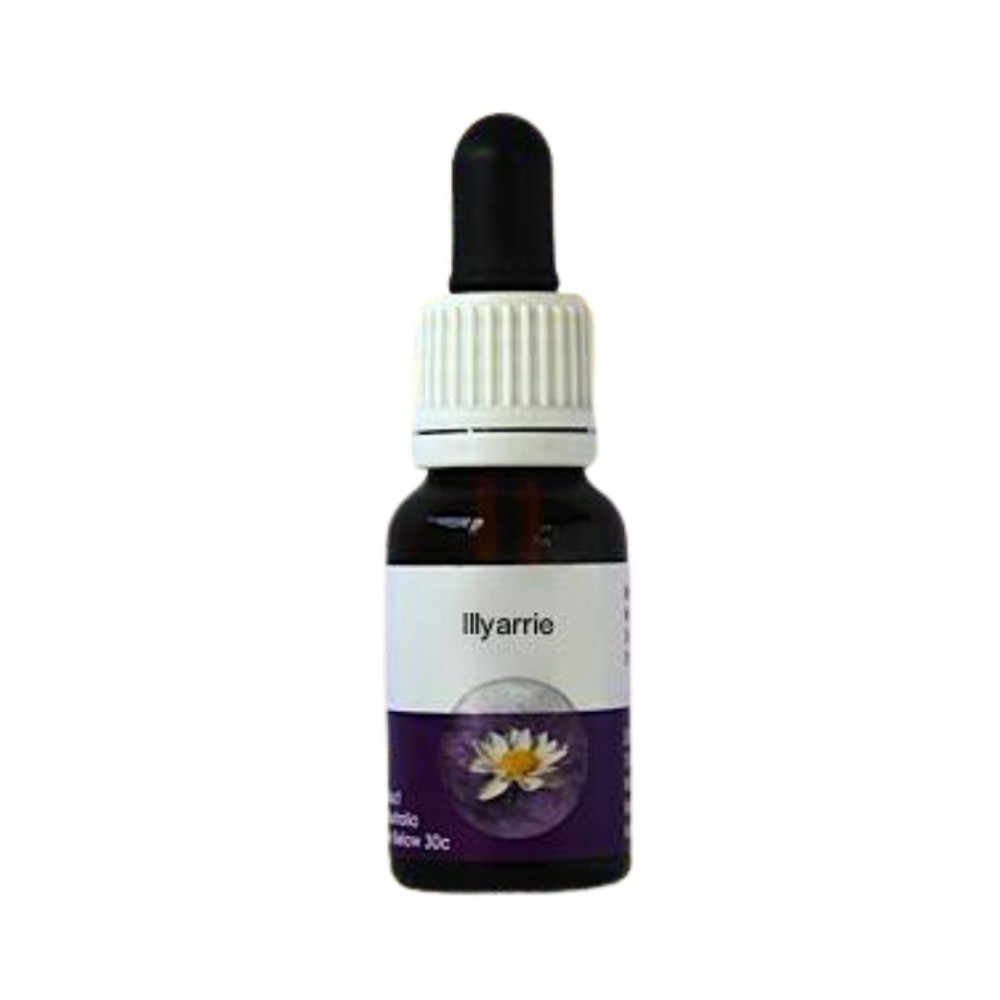 Illyarrie (Eucalyptus erythrocorys) 15 ml