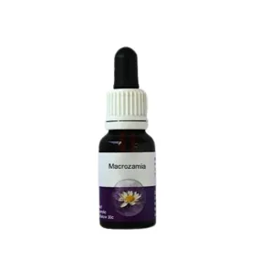 Esencia única Australian Living - Macrozamia (Macrozamia reidlei) 15 ml