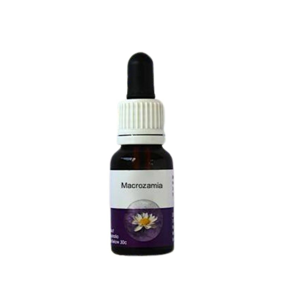 Macrozamia (Macrozamia reidlei) 15 ml